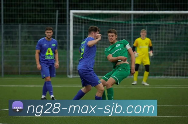 南宫28，南宫28官网，南宫28官方网站，南宫28入口，南宫28APP全站App